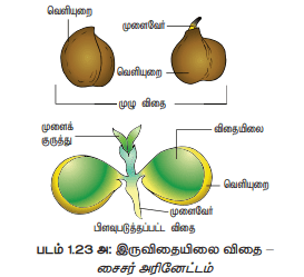 12th Bio-Botany Unit 6 Additional 2 Mark Question and Answers samacheer kalvi guide