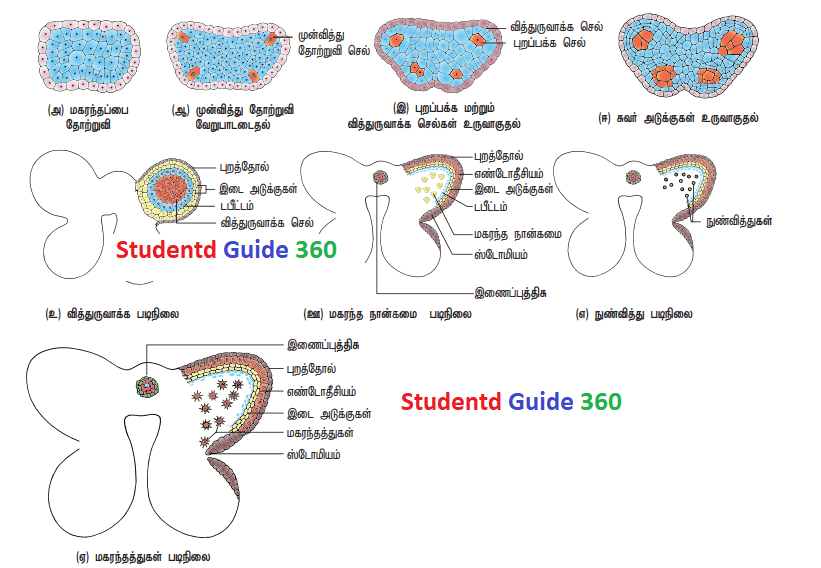 12th bio botany unit 6 lesson guide students guide 360