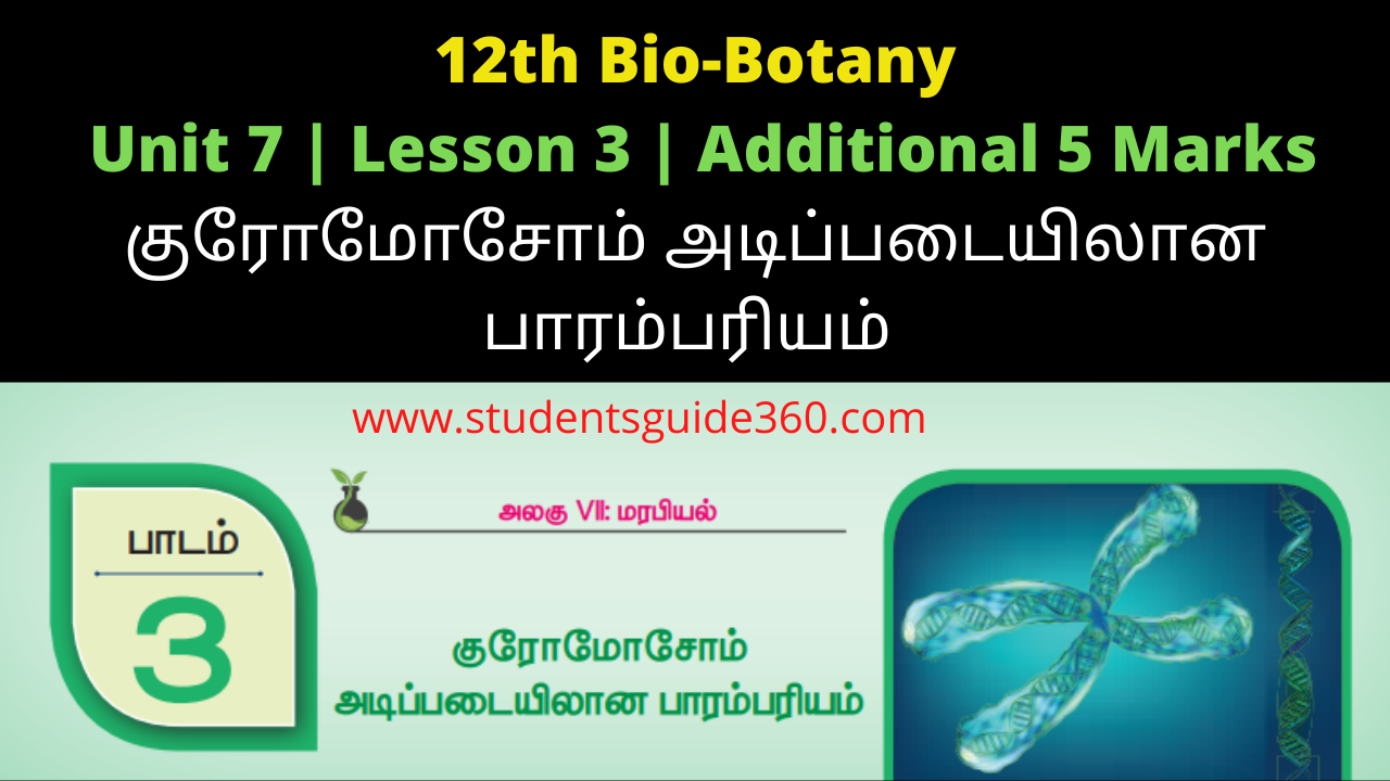 You are currently viewing 12th Botany Lesson 3 Additional 5 Marks