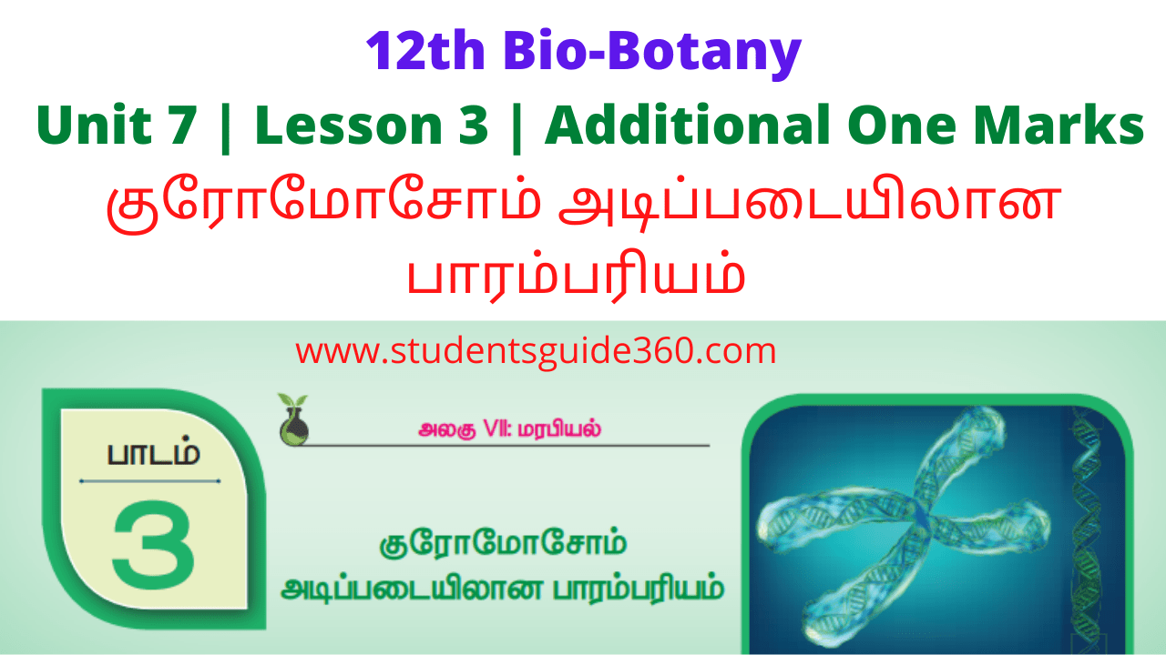 Read more about the article 12th Botany lesson 3 one Marks