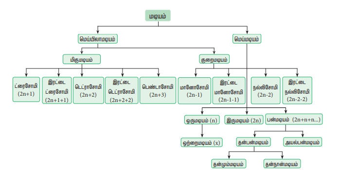 12th Botany Lesson 3 Book Back Answers STUDENTS GUIDE 360