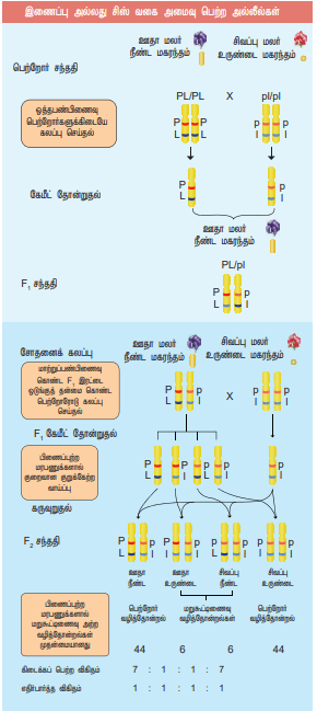 12th Botany Lesson 3 Book Back Answers STUDENTS GUIDE 360