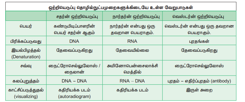 27. பல்வேறு வகை ஒற்றியெடுப்பு தொழில்நுட்பத்தை ஒப்பிடுக. 12th Botany Lesson 4 Book Back Answers