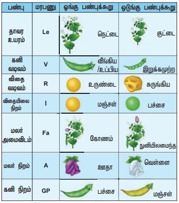 Read more about the article 12th Bio Botany Lesson 2 Additional 3 Marks