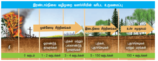 12th Botany Unit 9 Lesson 7 Book Back Answers