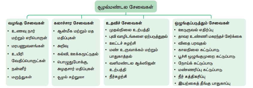 12th Botany Unit 9 Lesson 7 Additional 5 Marks