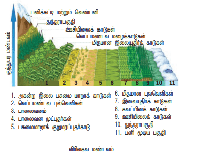  12th Botany Unit 9 Lesson 6 Additional 5 Marks