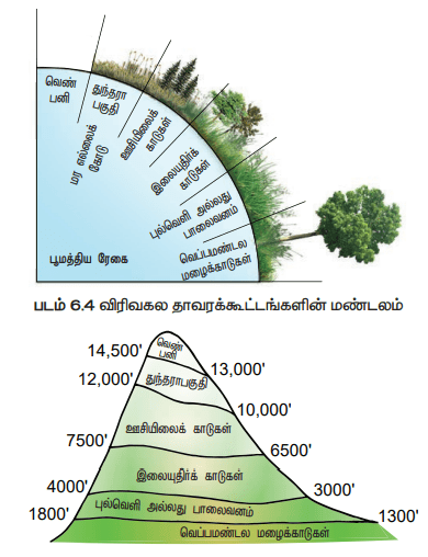  12th Botany Unit 9 Lesson 6 Additional 5 Marks