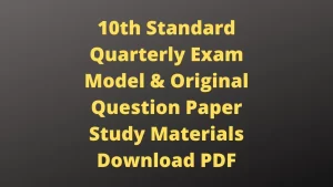 Read more about the article 10th Quarterly Exam Question Paper 2022