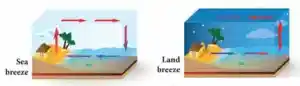 1. Explain convection in daily life.