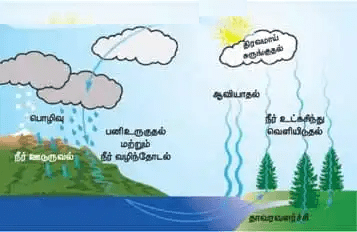 8th Standard Social Science - Geography Guide Lesson 3 நீரியல் சுழற்சி