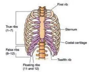 8th Science Guide Lesson 19 Movements