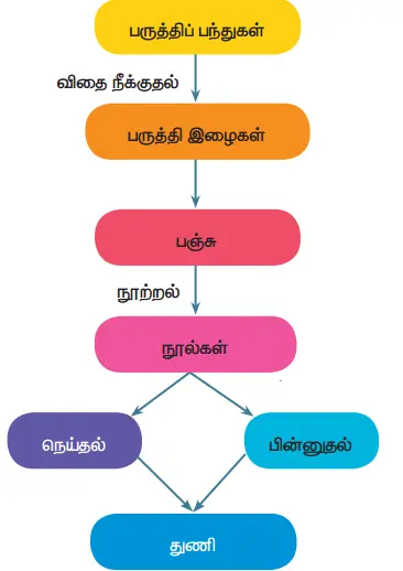 5th Science Guide Term 1 Lesson 2