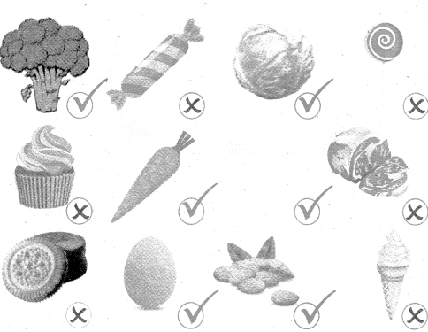 4th Science Guide Term 1 Lesson 1