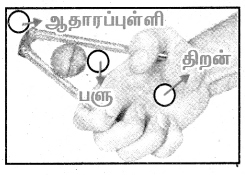 4th Science Term 1 Guide Lesson 3