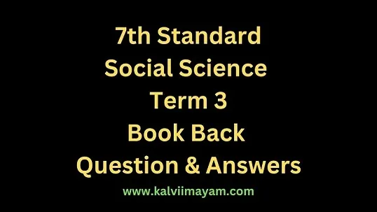 Read more about the article 7th Social Science Term 3 Economics Guide Tax and its Importance